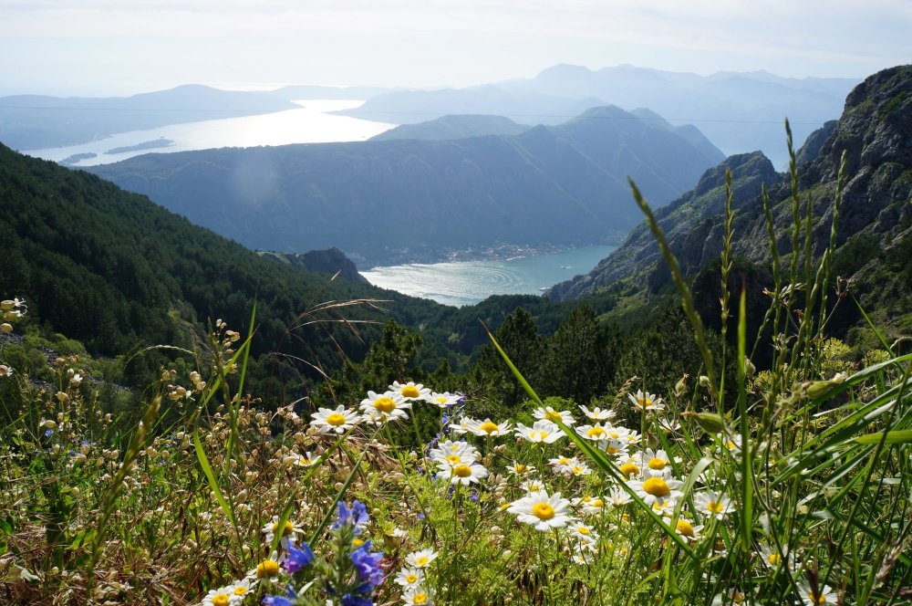 Альпийские Луга в Крыму