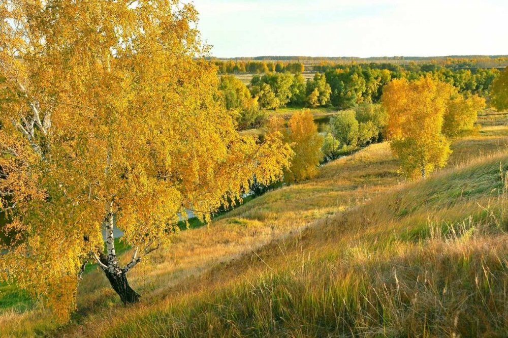 Пейзаж ранняя осень