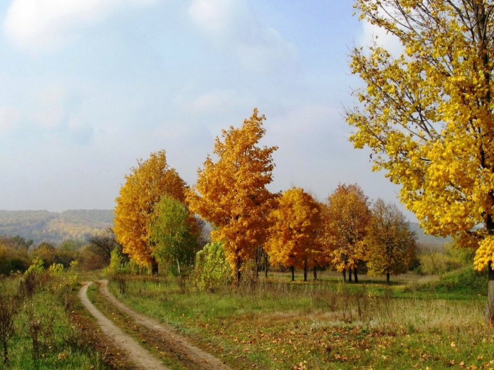 Золотая осень