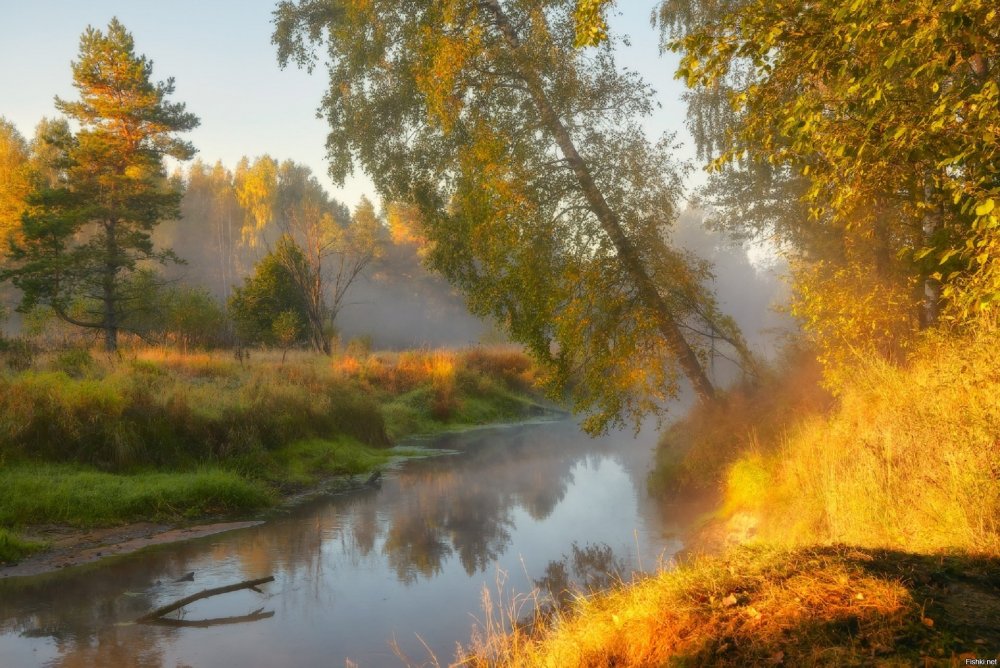 Золотая осень река