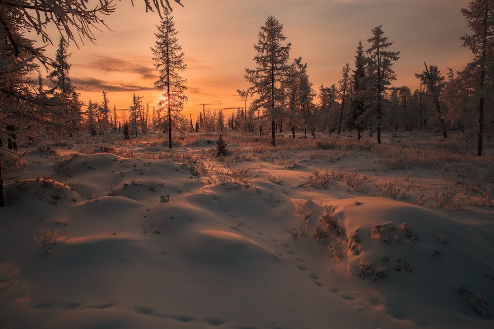 Северное сияние Эвенкия Таймыр