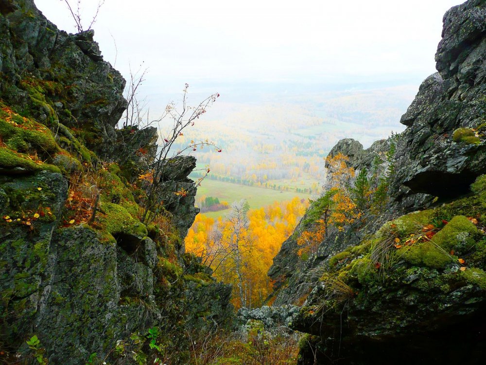 Уральский лес Белорецк