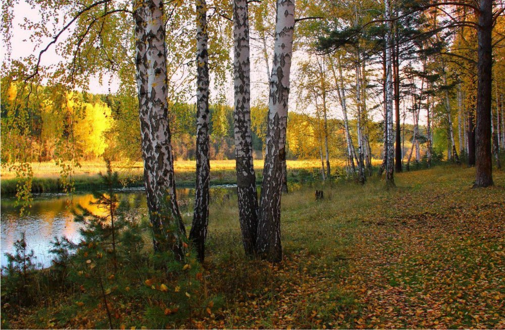 Осень в средней полосе России