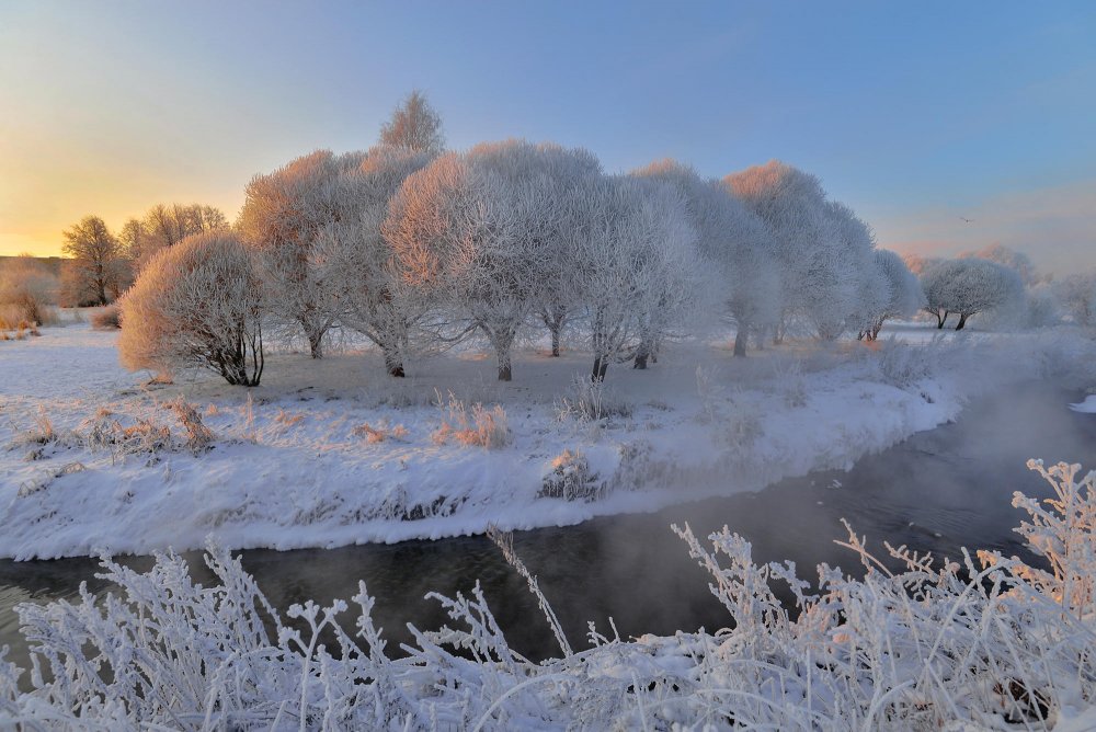 Муринский ручей зимой
