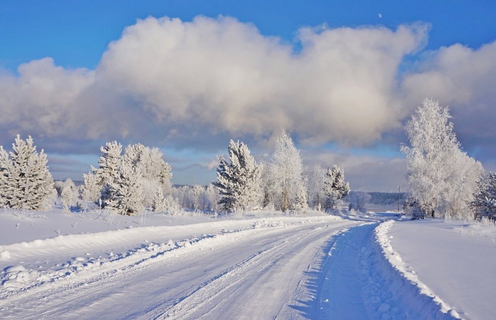 Зимняя природа Сибири