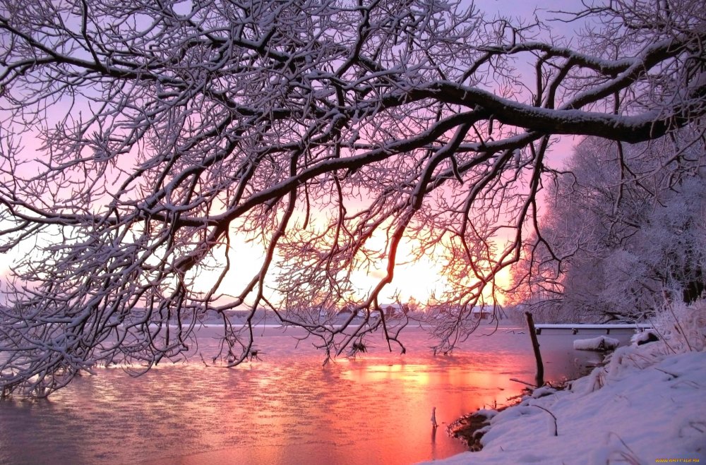 Зимний пейзаж в розовых тонах