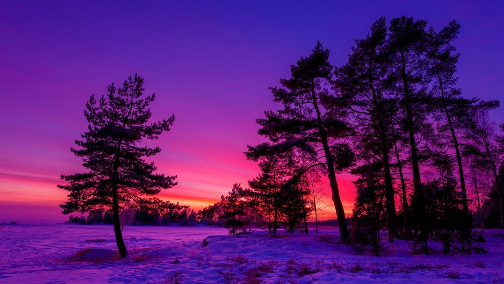 Красивый закат зимой