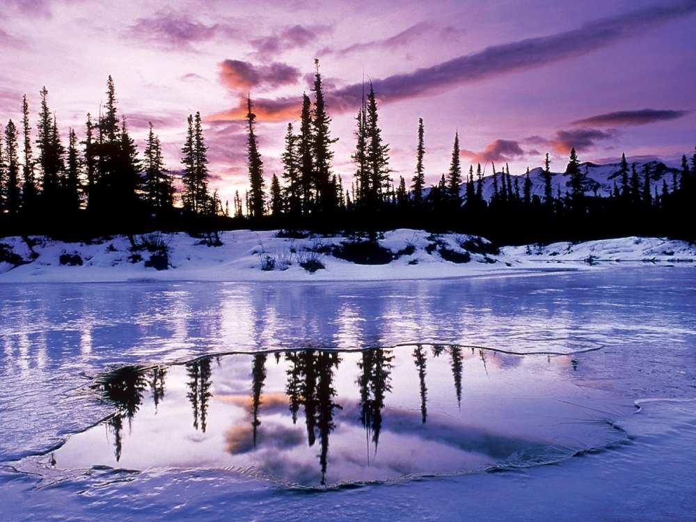 Замерзшее озеро в лесу