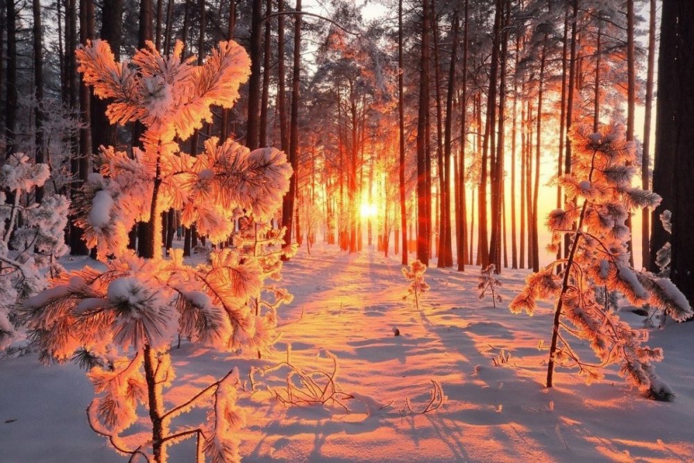 Эстетика зимней природы
