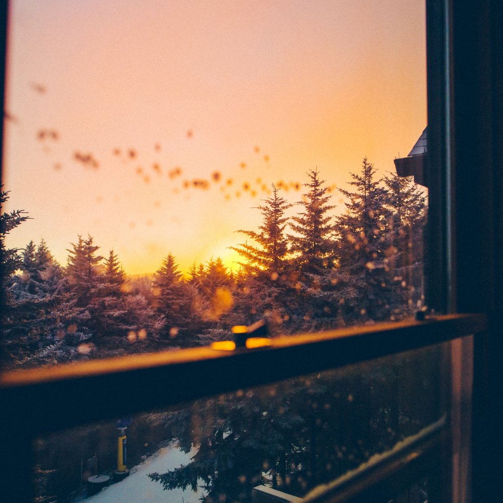 Пейзаж из окна