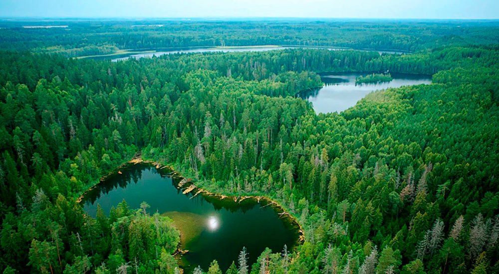 Нарочанский парк голубые озера