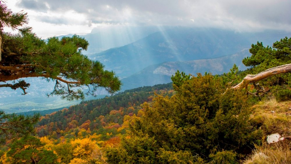 Алуштинский Крымский заповедник