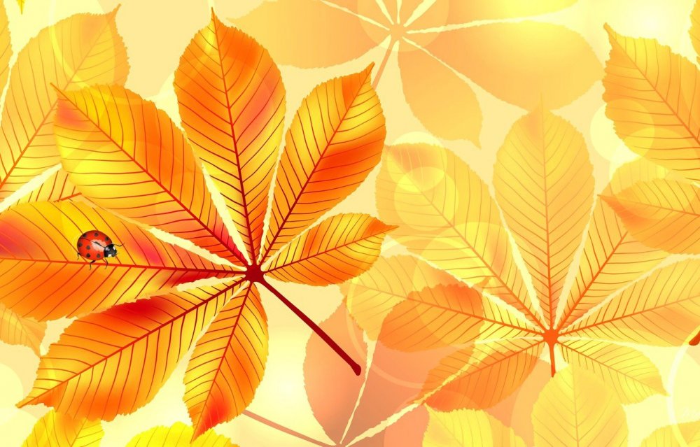 Осенние листья на желтом фоне