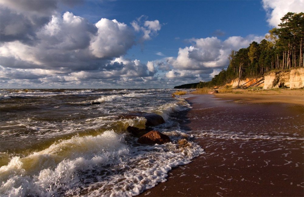 Калининградская область Калининград Балтийское море