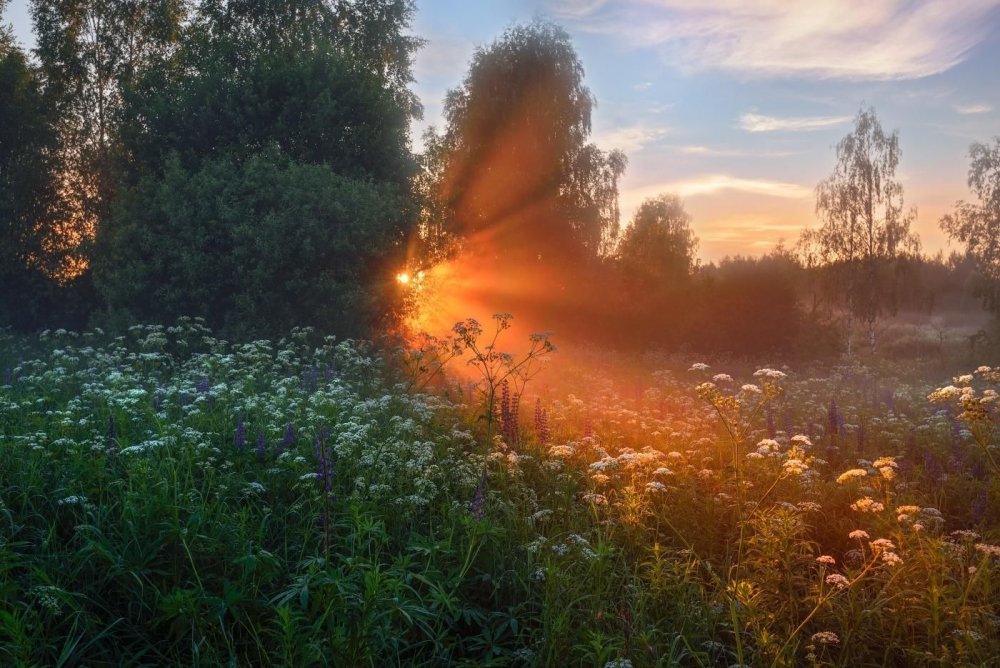 Виталий Полуэктов фотограф