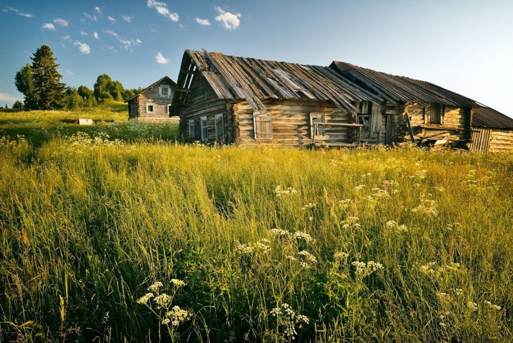 Деревня природа село долгое Смоленская