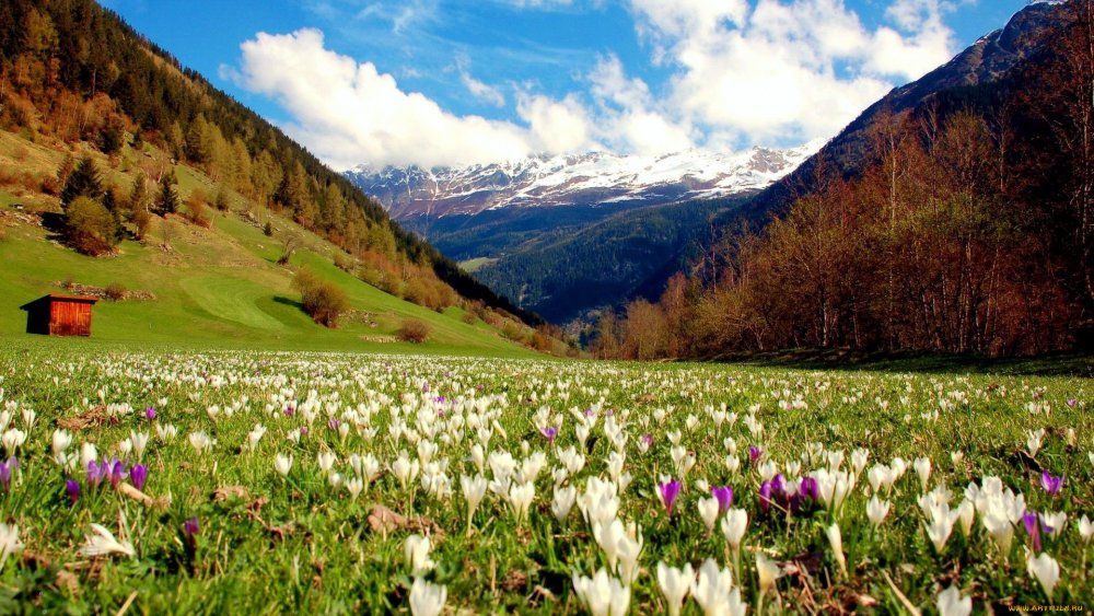 Ранняя Весна в горах