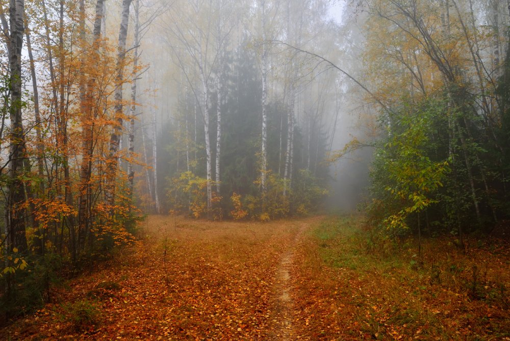 Виталий Полуэктов фотограф