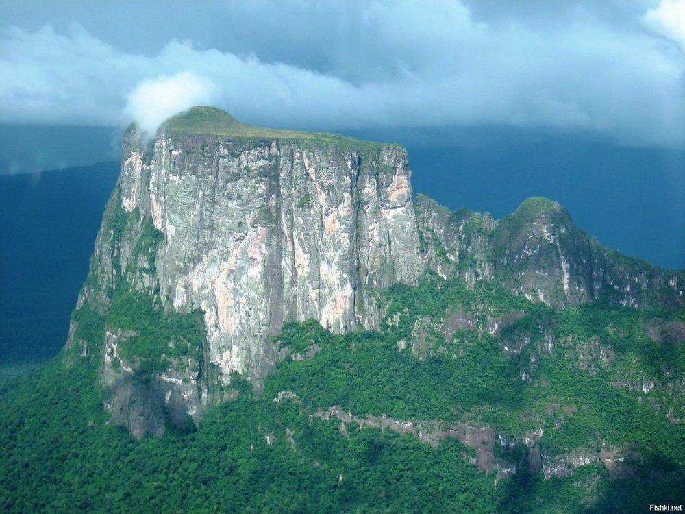 Венесуэла плато Рорайма