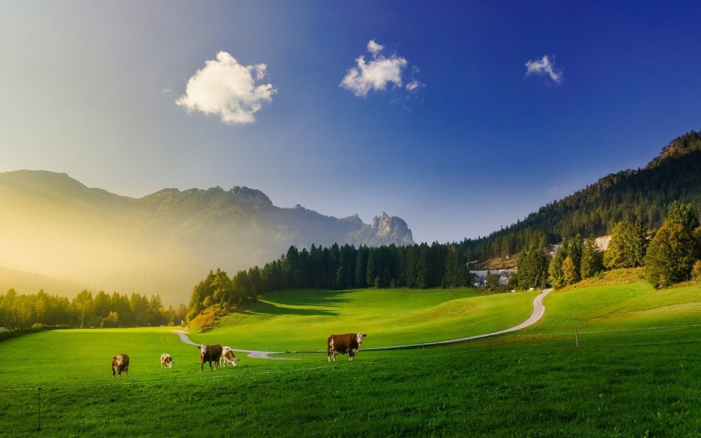 Зеленые Луга Швейцарии