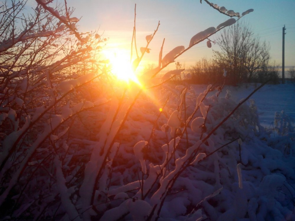 Зимнее солнцестояние фото