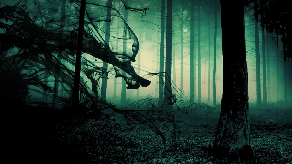 Хогвартс темный лес