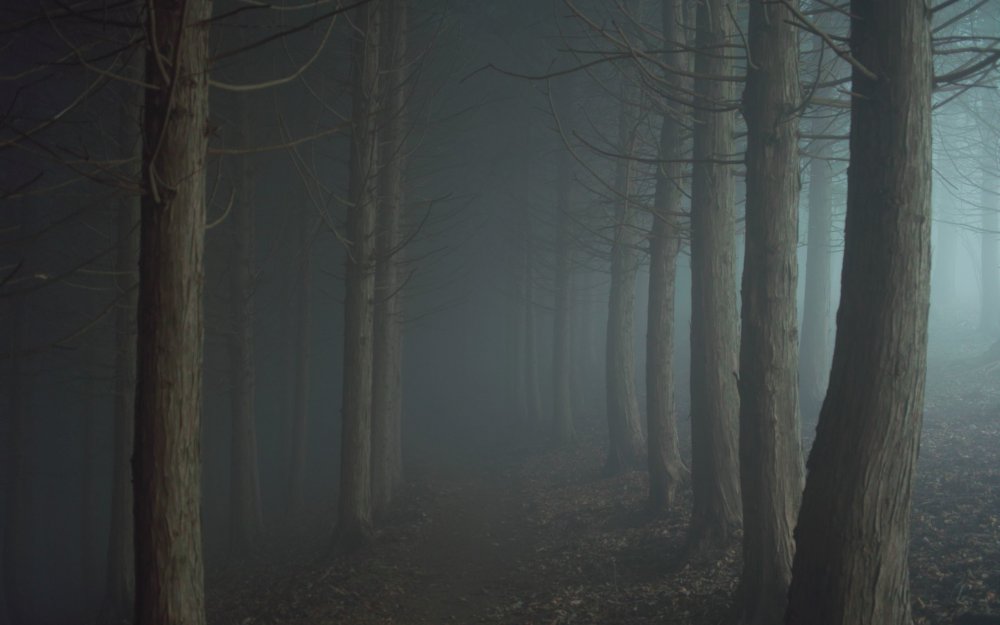 Мрачный лес фэнтези