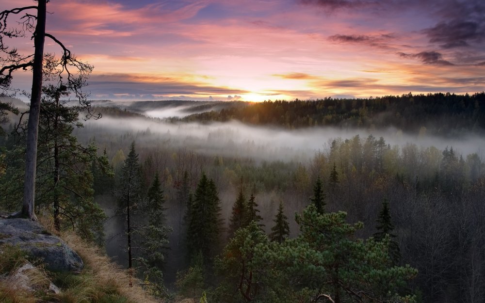 Asko Kuittinen фотограф из Финляндии