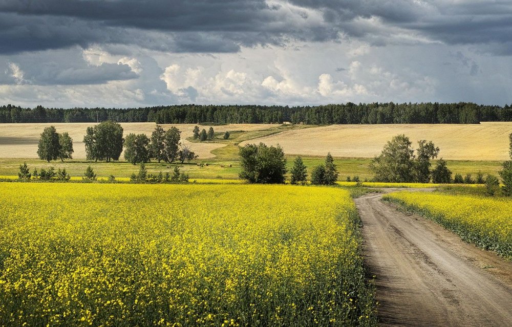 Природа Зауралья Курганская область