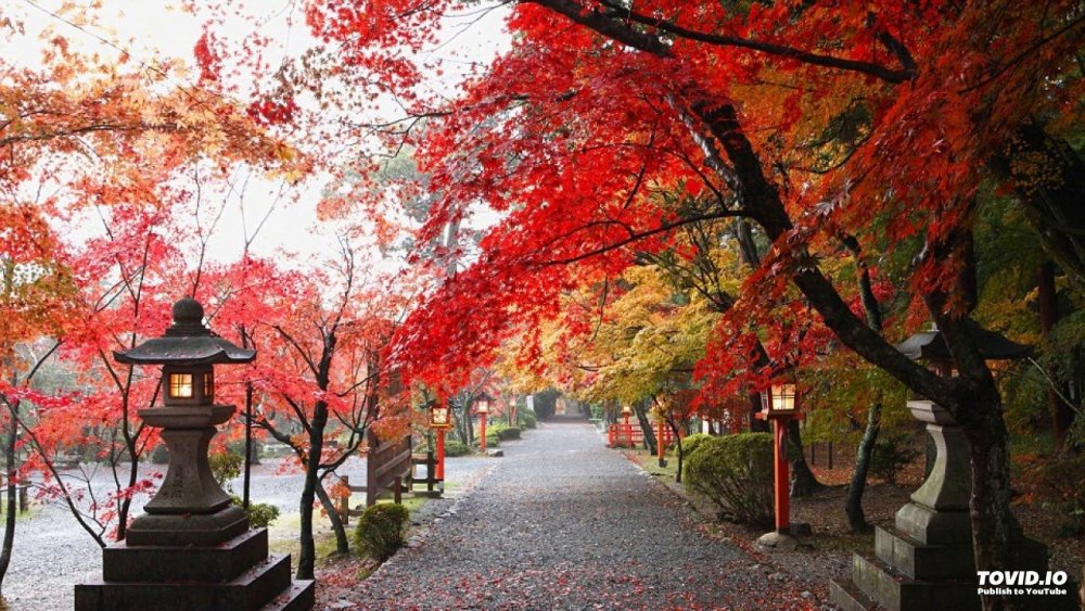 Киото Токио осенью