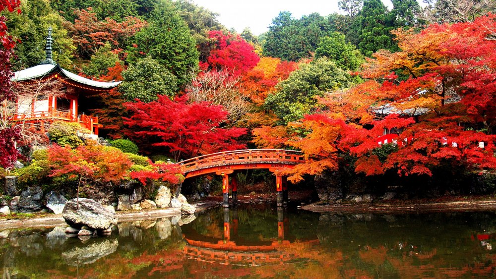 Панорама Япония природа