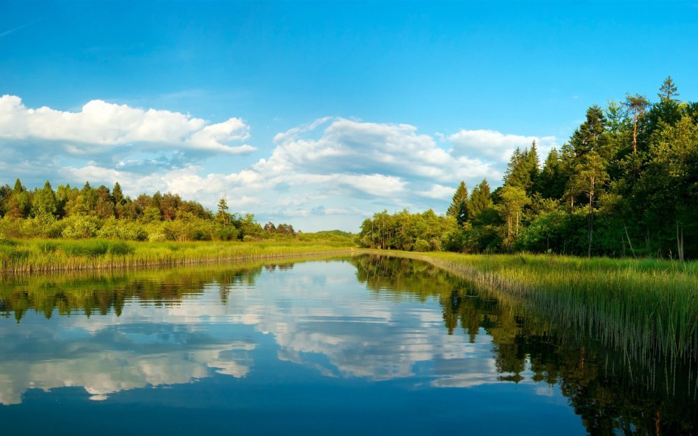 Река Людовна Ленинский район