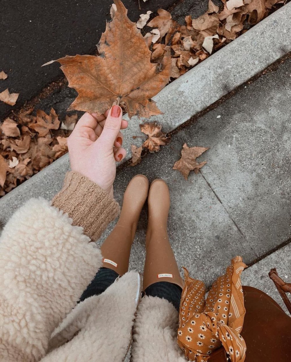 Ноги в листве
