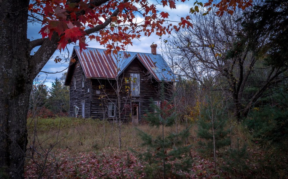 Старенький домик в лесу
