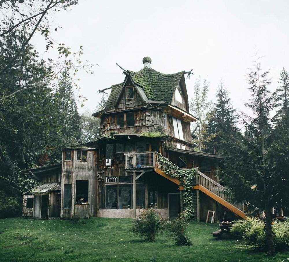 Старый дом посреди леса