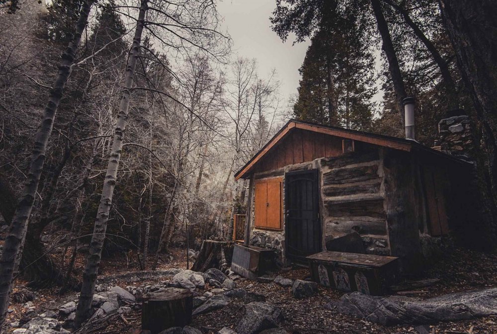 Дом лесника в лесу в России заброшенные