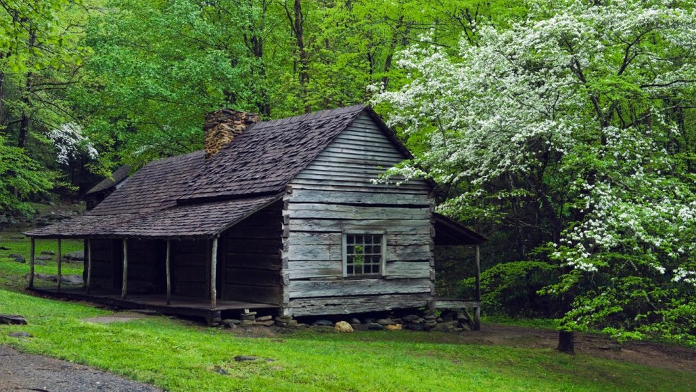 Старинный домик в лесу