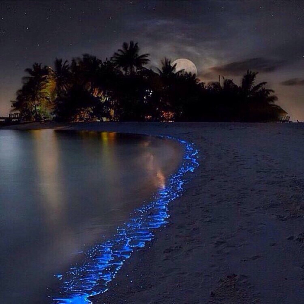 Пляж Ваадху Мальдивы