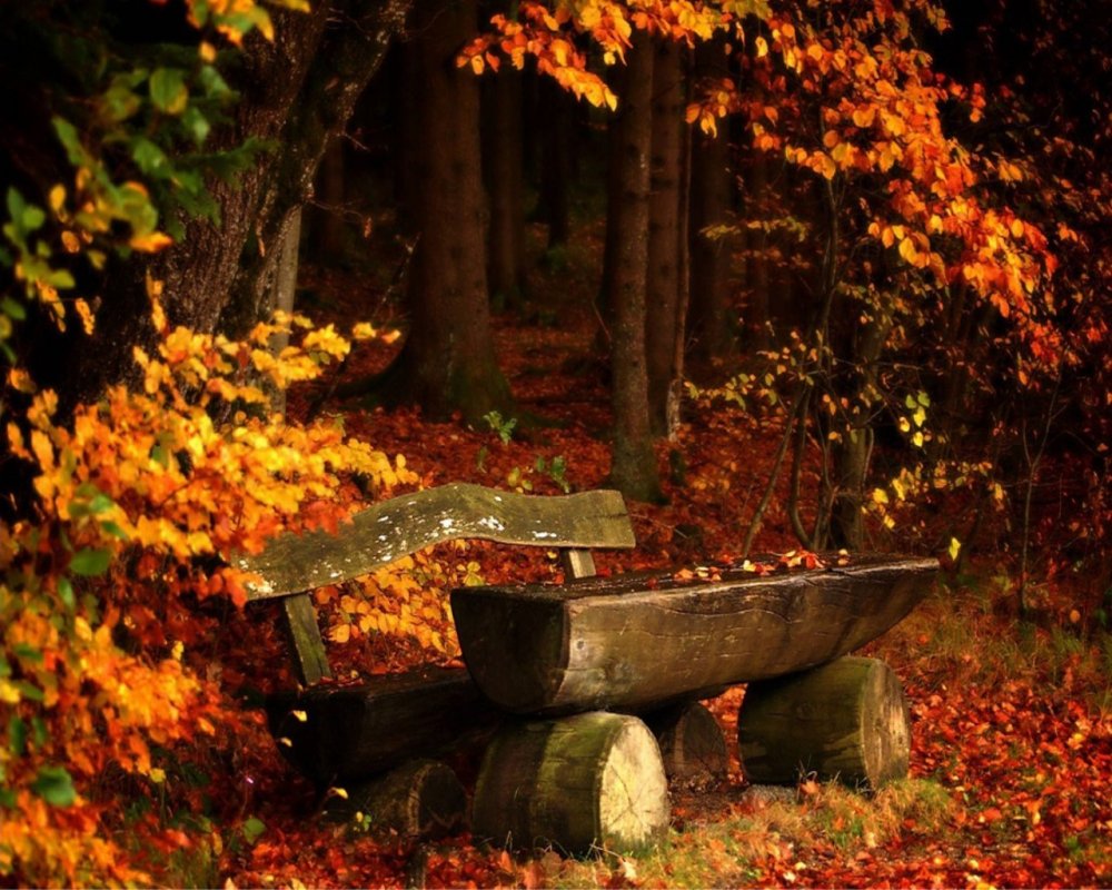 Осень красота романтика
