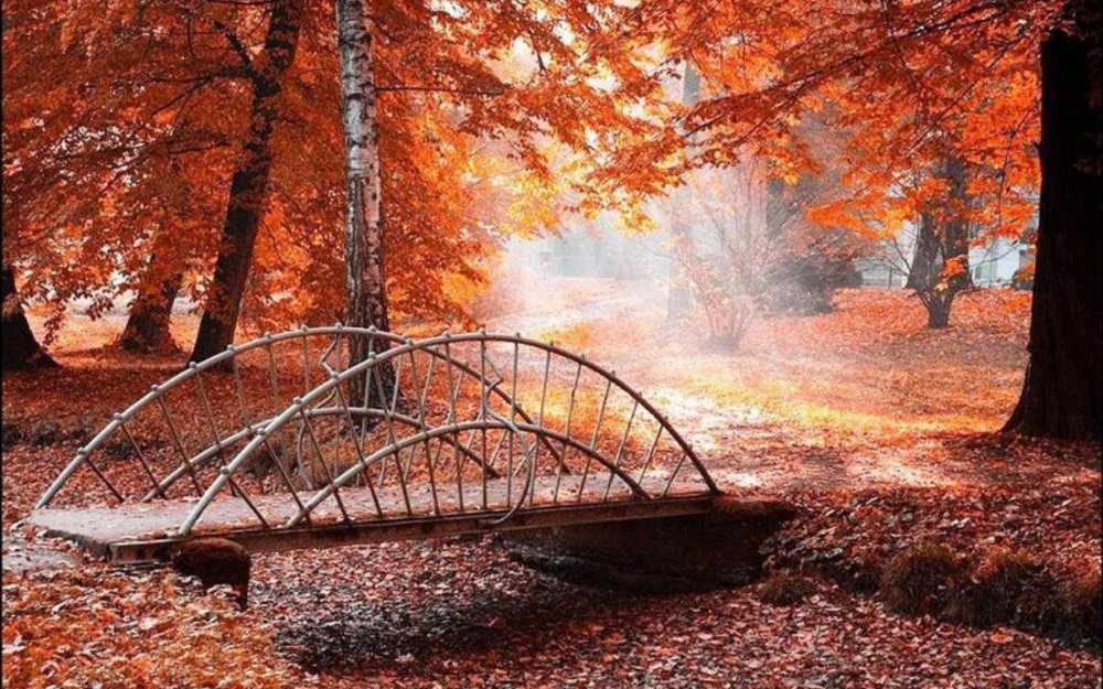 Осень в парке с мостиком