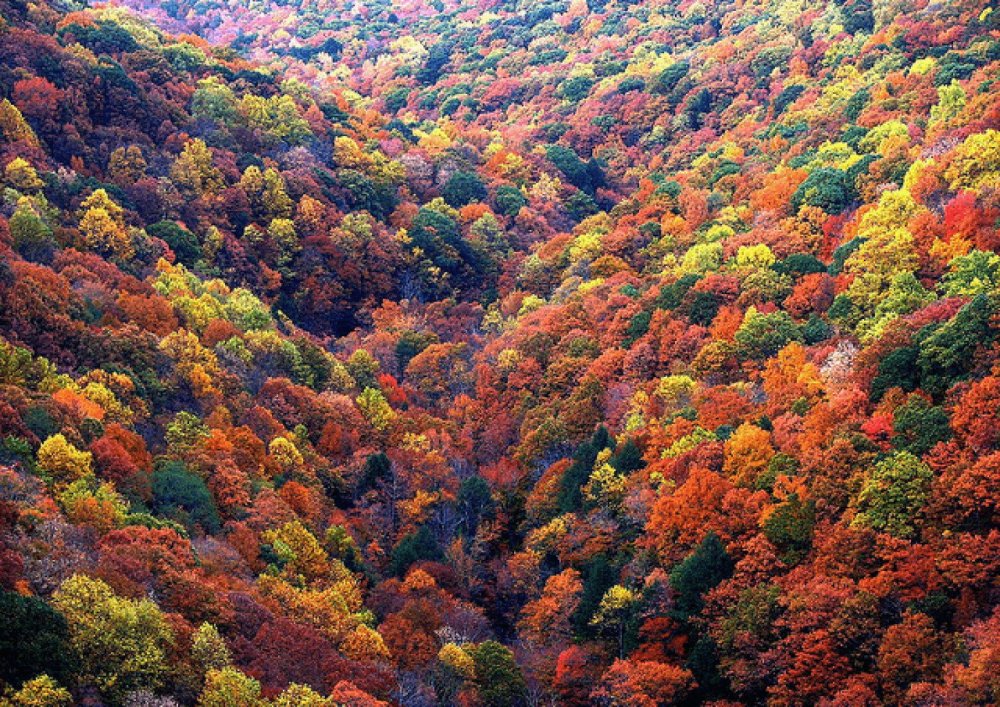 Рача Грузия осень