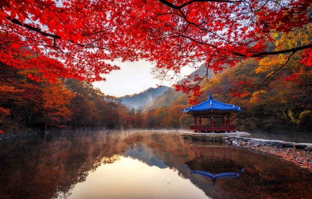 Южная Корея природа