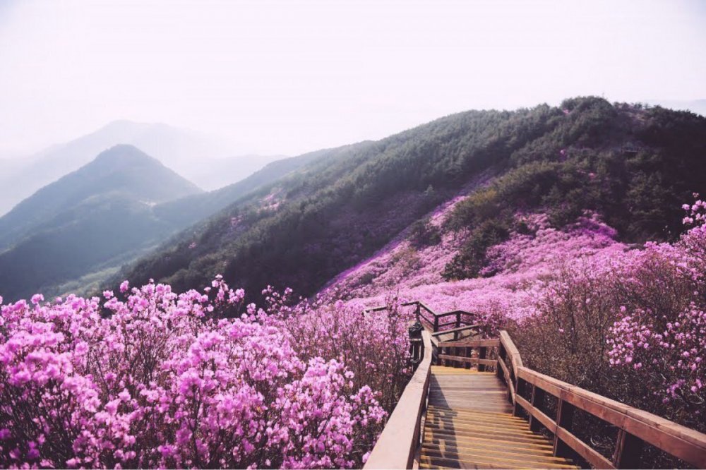 Южная Корея Эстетика Сеул горы