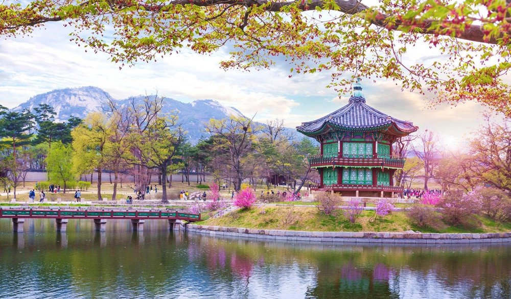 Сеул дворец кёнбоккун Сакура цветет