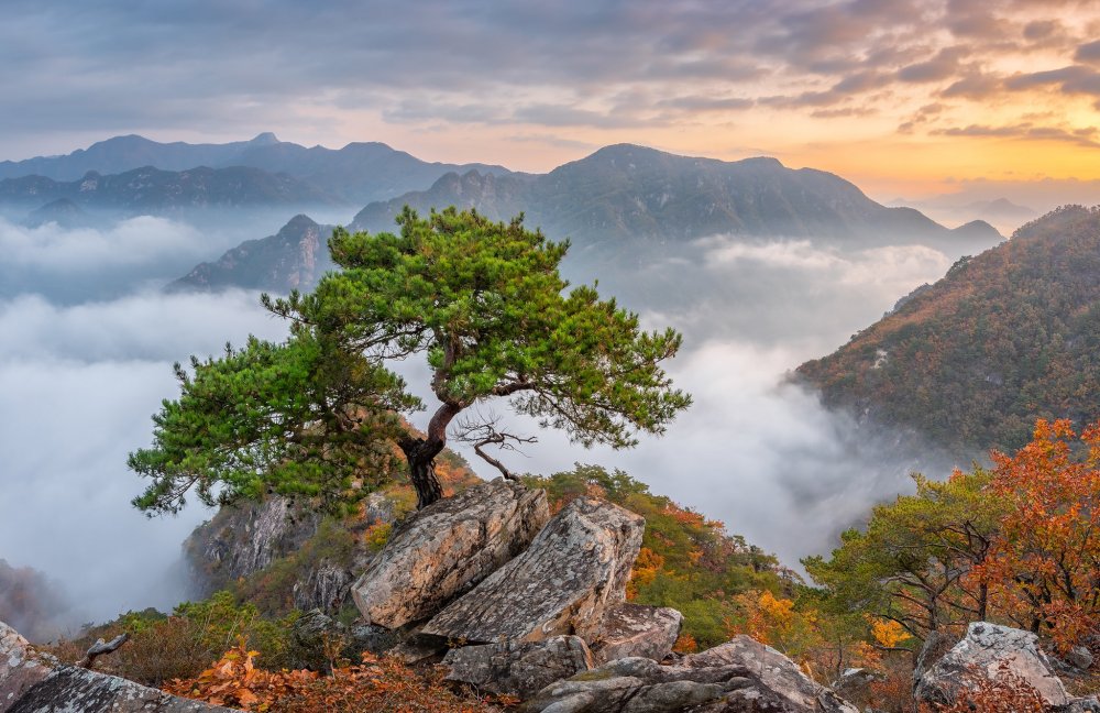 Южная Корея Bukhansan National Park