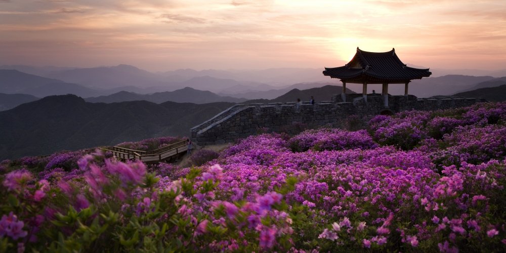 Обои Южная Корея природа Сеул