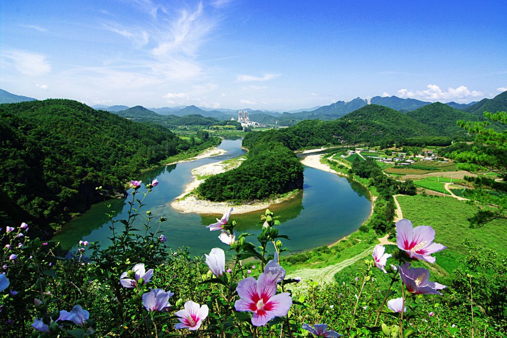 Флора Южной Кореи