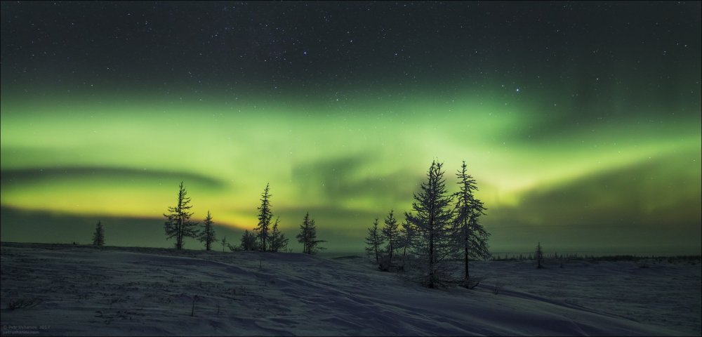 Тундра климат Северное сияние