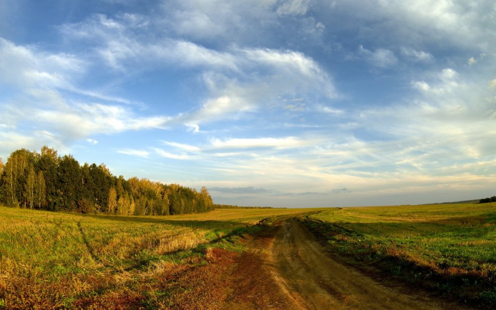 Дорога в поле