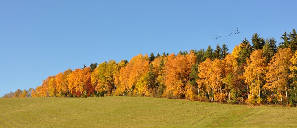 Осенний пейзаж панорама